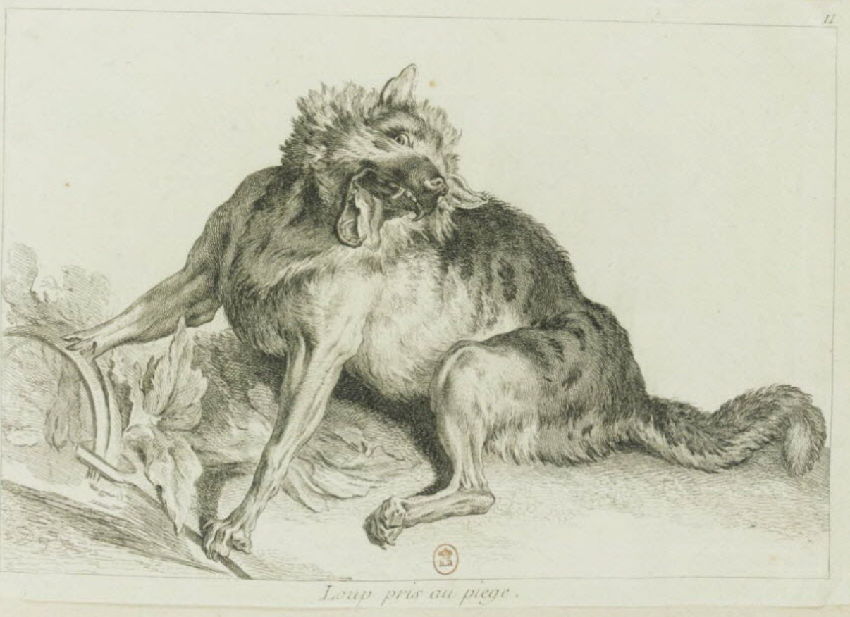 2026 : L'Ombre du Loup
